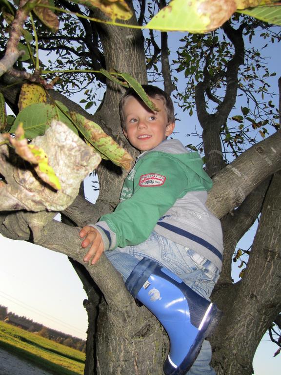 Baby- Und Kinderhof Aicherbauer Seeham Exteriér fotografie