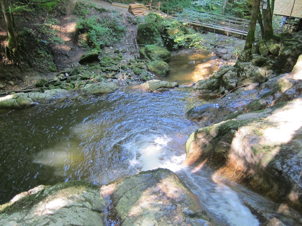 Baby- Und Kinderhof Aicherbauer Seeham Exteriér fotografie