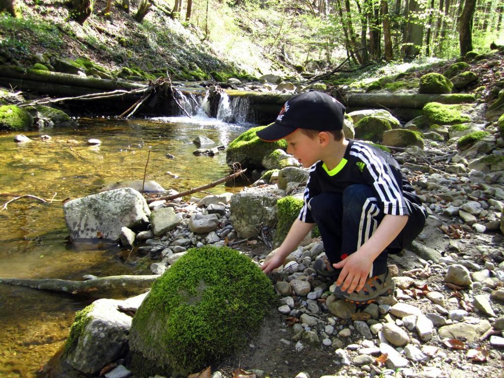 Baby- Und Kinderhof Aicherbauer Seeham Exteriér fotografie