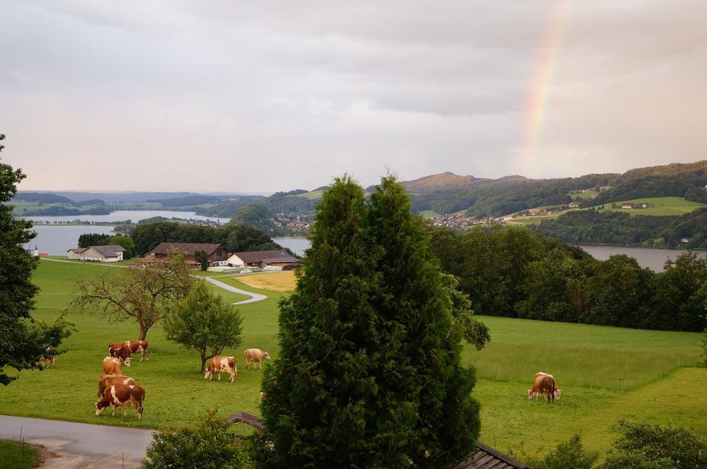 Baby- Und Kinderhof Aicherbauer Seeham Exteriér fotografie