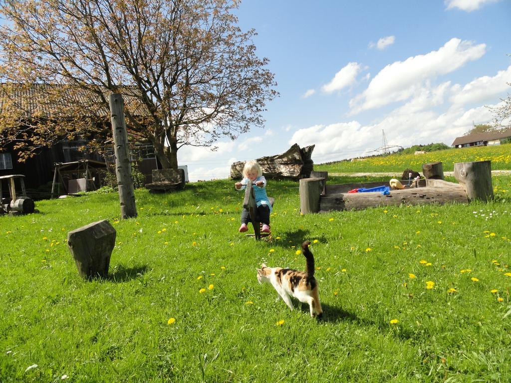 Baby- Und Kinderhof Aicherbauer Seeham Exteriér fotografie