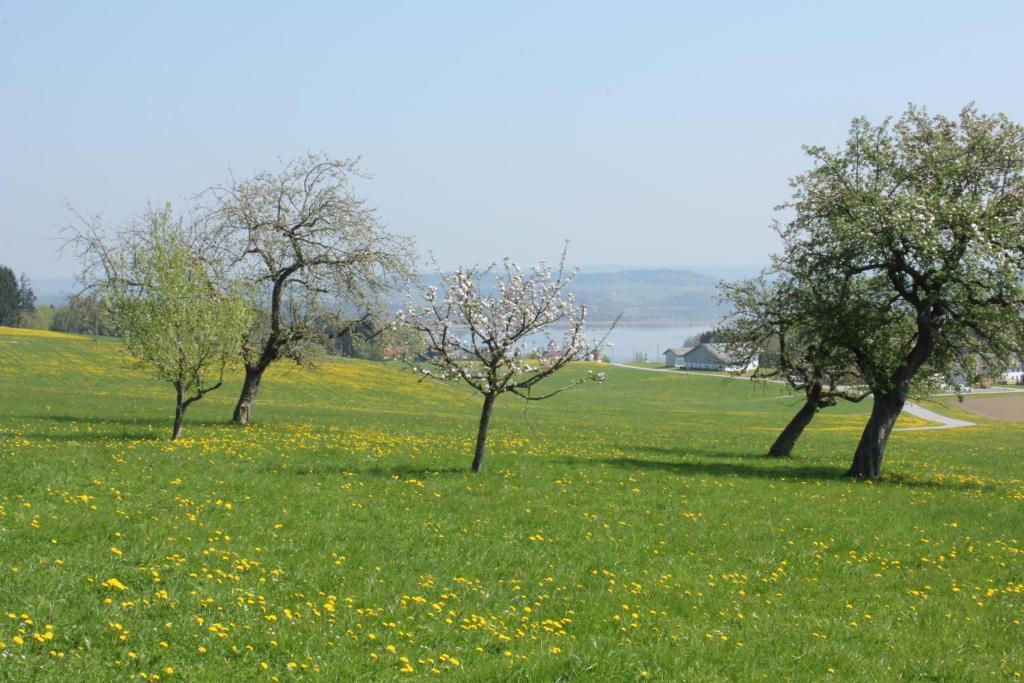 Baby- Und Kinderhof Aicherbauer Seeham Exteriér fotografie